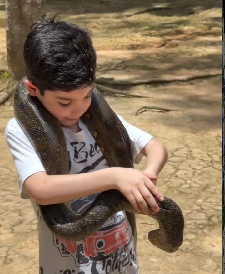 Giant anaconda