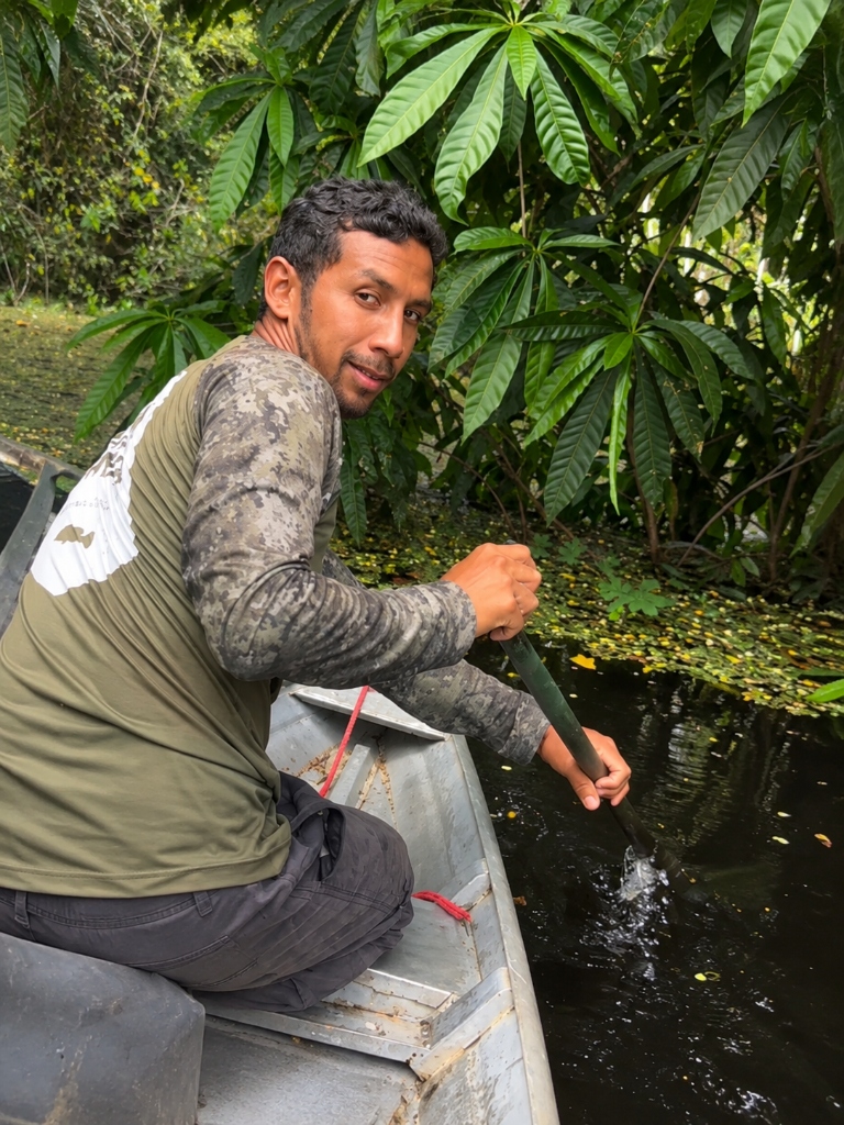 A canoe on an Amazon tributary at first light